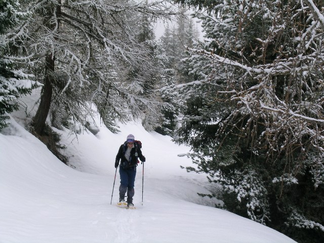 Prima si sale nel bosco.