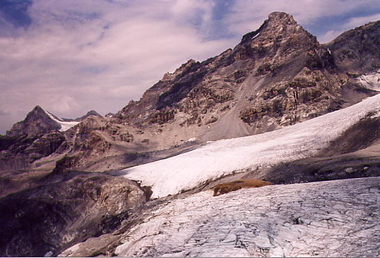 Poco sopra il rifugio V Alpini: le Vedrette dello Zebr e la Punta Thurwieser